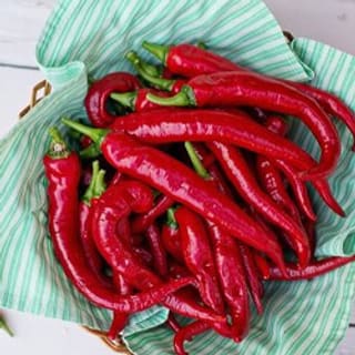 Extrait de piment rouge